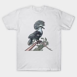 Fancy Bird (Western Crowned  Pigeon) T-Shirt